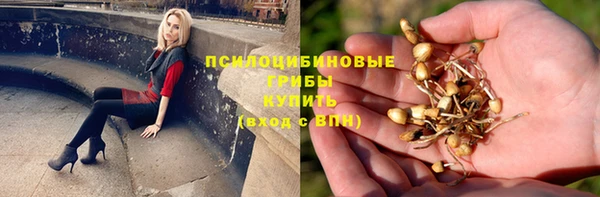 марки lsd Заволжск