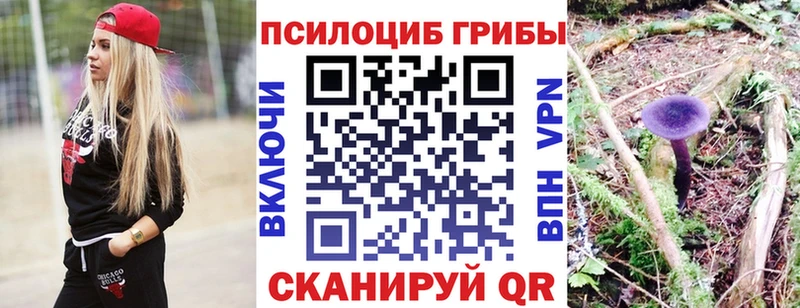Купить  Хвалынск  Галлюциногенные грибы Cubensis 